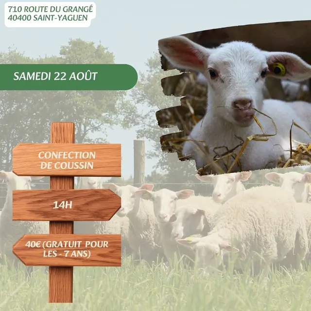 Visites, balades de l'OT - Atelier_22_Août