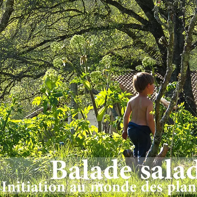 Balade salade