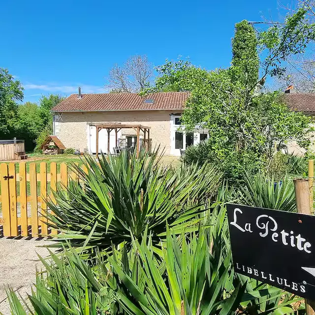 Bergier - Les Libellules (8)