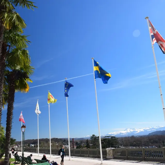 Boulevard des Pyrénées - Pau - Drapeaux