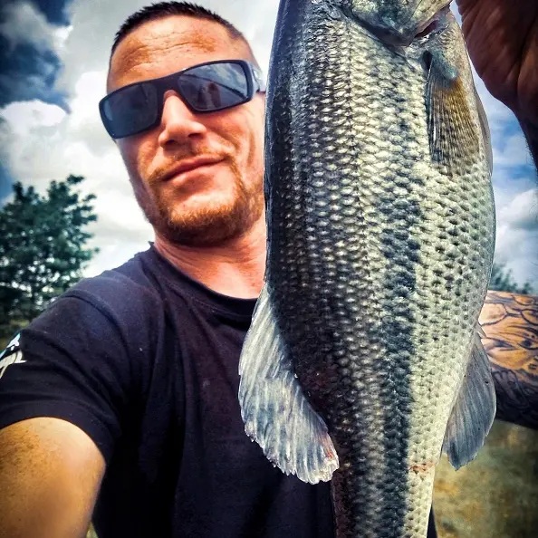 Black bass - Mathieu MVS - Adour et plan d'eau