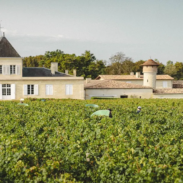 BraneCantenac- 1600x800