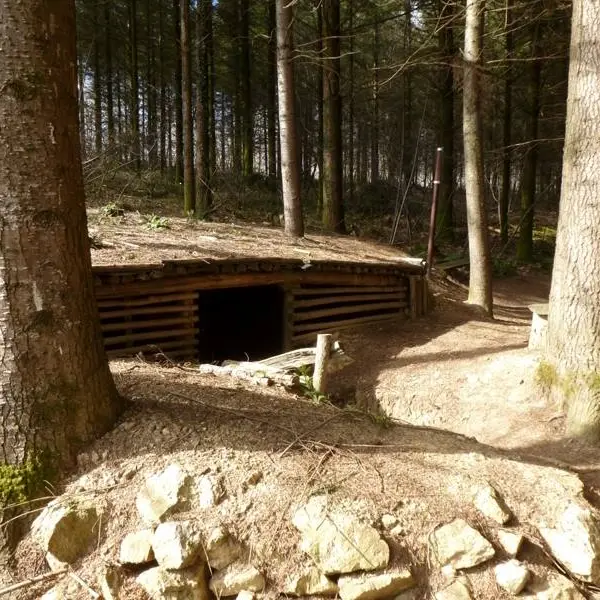 En poste dans la forêt de Boubon