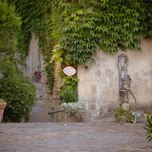 CHEMIN-LAVANDIERES-2