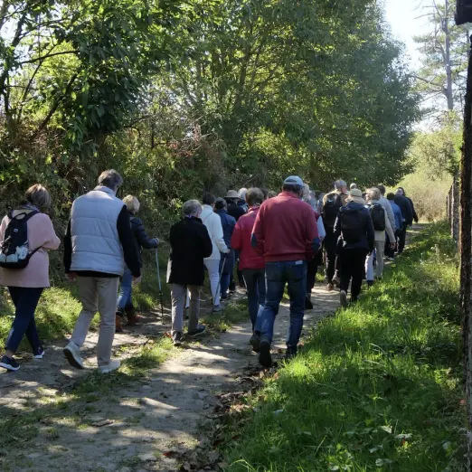 Balade nature et patrimoine