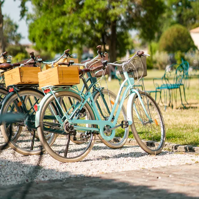 Château Marquis de Terme - CC 09195