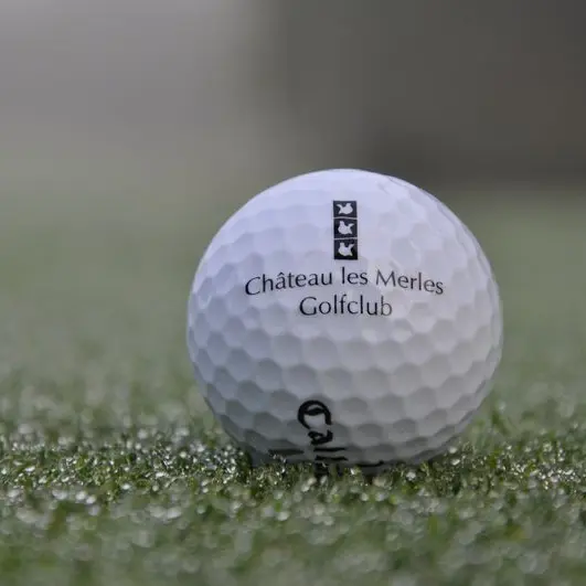Golf les Merles
