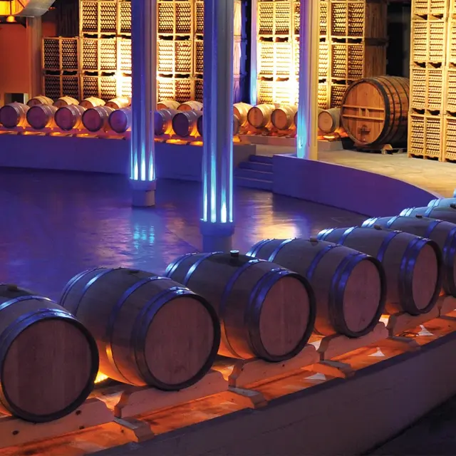 Cave des producteurs de Jurançon - Gan - Chai semi-enterré