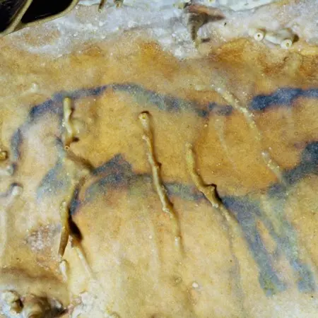 Cheval Bleu GRotte VillarsJMB