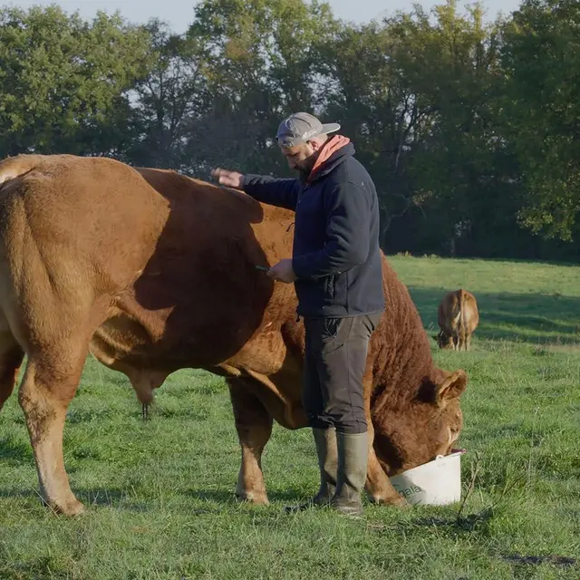 Ciné-débat Rural 19 JAN