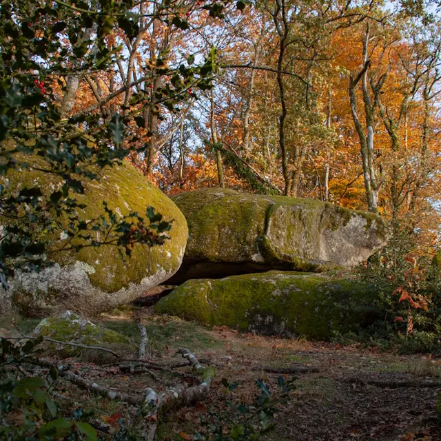 Rochers de Puychaud