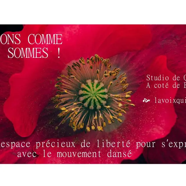 Com danse visuel 23-page-001