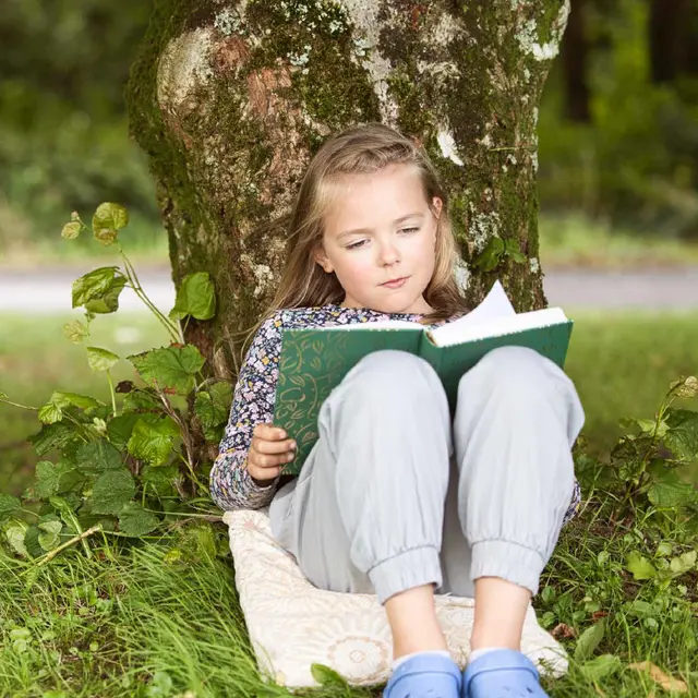 Contes du pays de buch