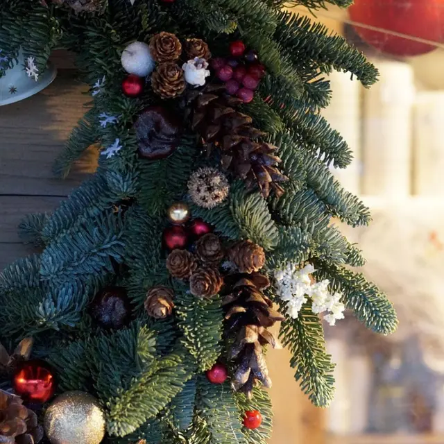 Concours vitrine (1)