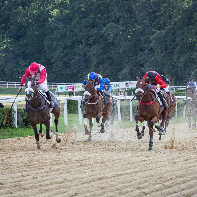 Courses hippiques - Pompadour ©Cris Bastiane - Web  (14)