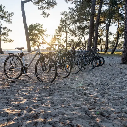 Cycles Delort