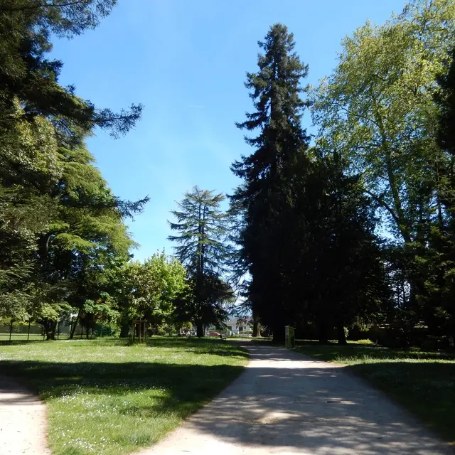 Square Besson - Pau - Allée