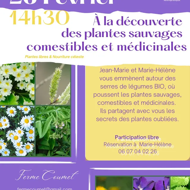 AFFICHE PLANTE SAUVAGE - fevrier