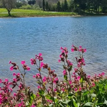 Etang de Riffataire