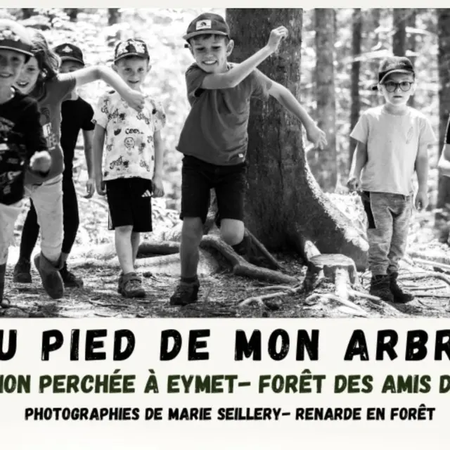 Expo Au pied de mon arbre Eymet Oct 2025 1 (1)