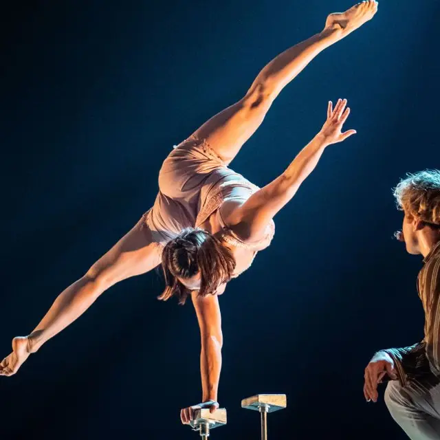 Harmonie Saint Michel - FLIP