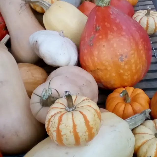 Ferme Dutheil-Becker ©Paula Dutheil-Becker