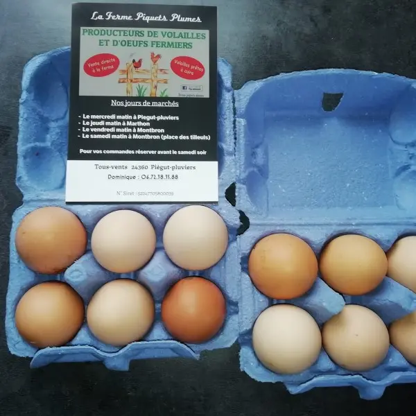 Ferme Piquets Plumes
