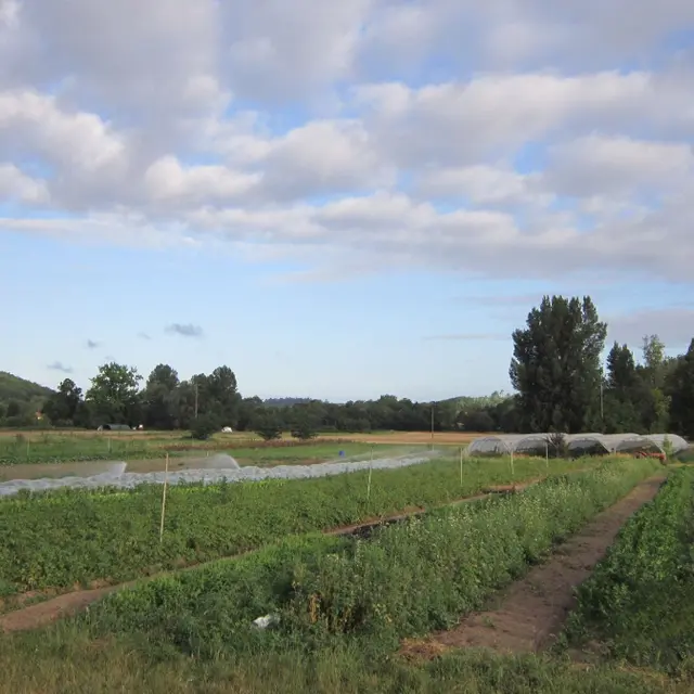 Ferme Siganen Serres et Monguyard 19 Oct 25 (1)