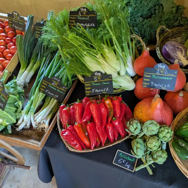 Ferme-des-deux-mains-st-martial-legumes-vallee-isle-perigord