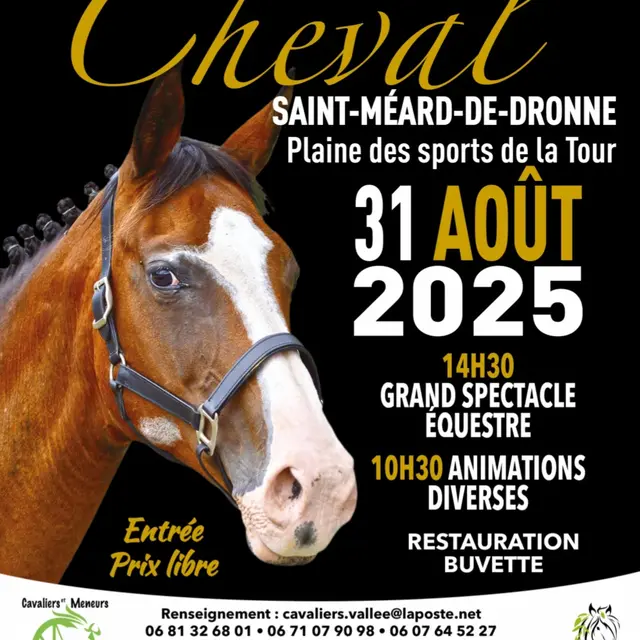 Fête du cheval Saint méard de drône