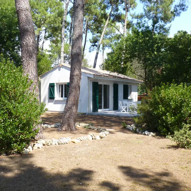 Forêt5