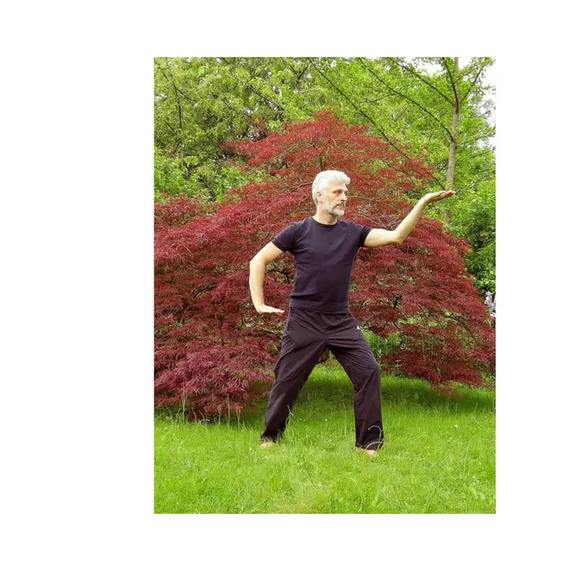 Qi Gong