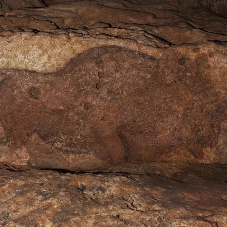 Grotte de Font-de-Gaume, bison