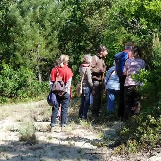 Groupe-Camicas-farfouille