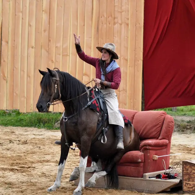 Le Haras de Valdor fête ses 10 ans !