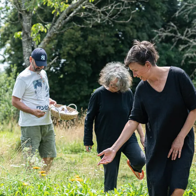 ICollet au jardin