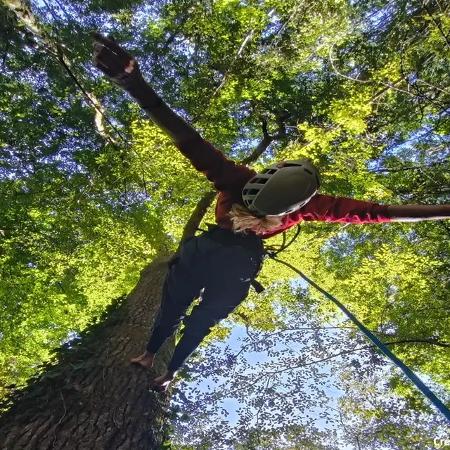 Les Ecureuils sur cordes