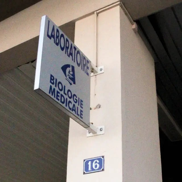 IMG-6456-2