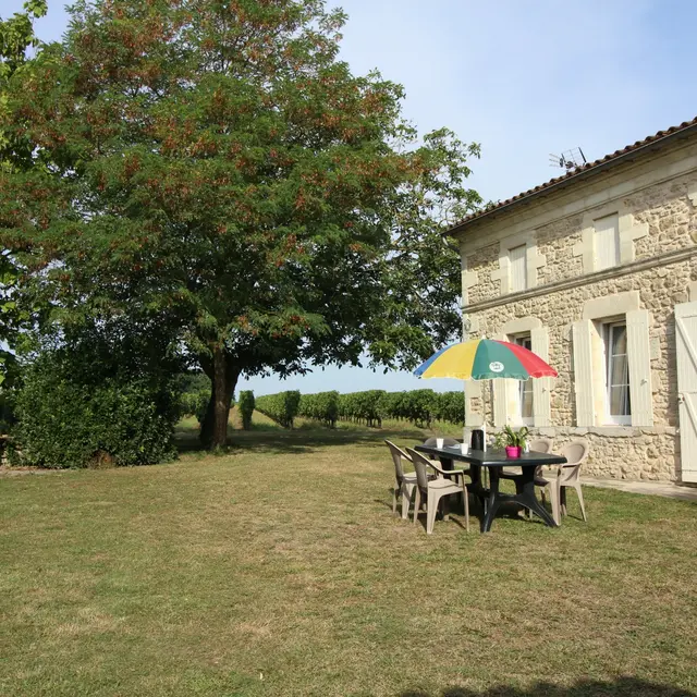 IMG-6889-1