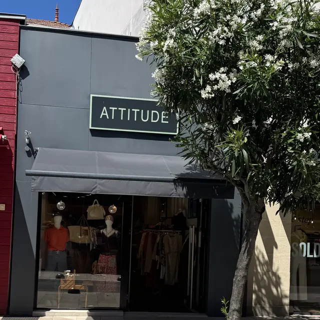 Attitude