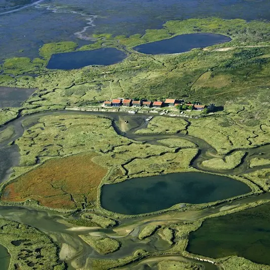 Iles aux oiseaux