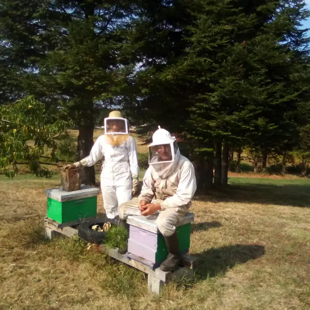 JP et Cécile - ruches