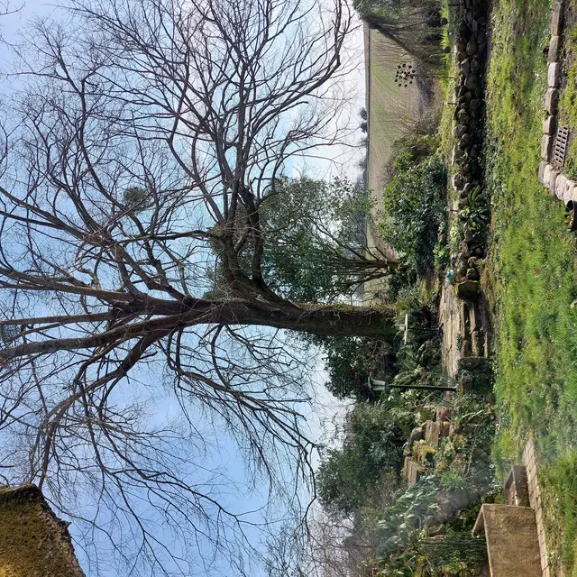 Jardin de Termi (5)