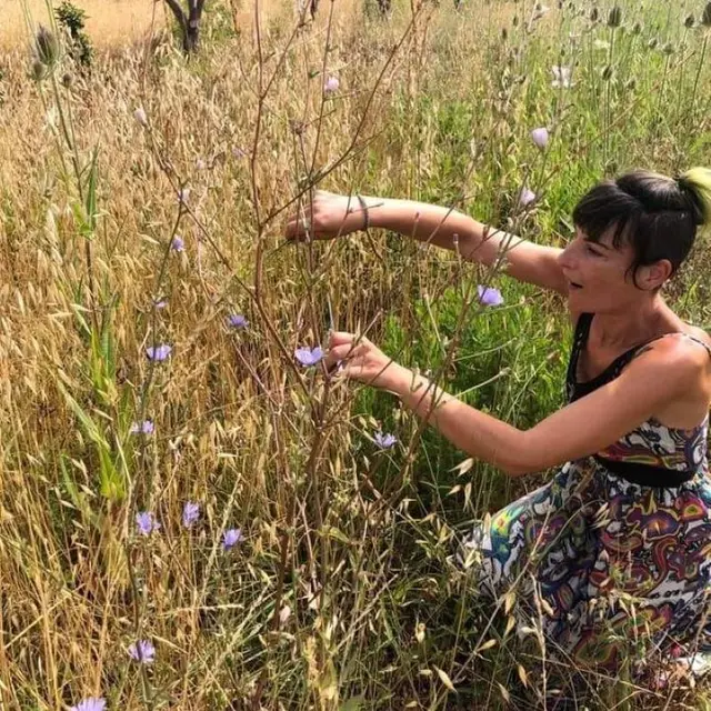 L'herbe folle © Marjorie Soulhol
