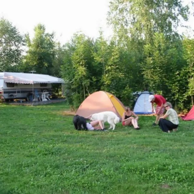 Camping Poublan Lo Casau - Artigueloutan - Tentes