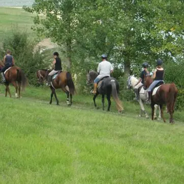 La téloulère