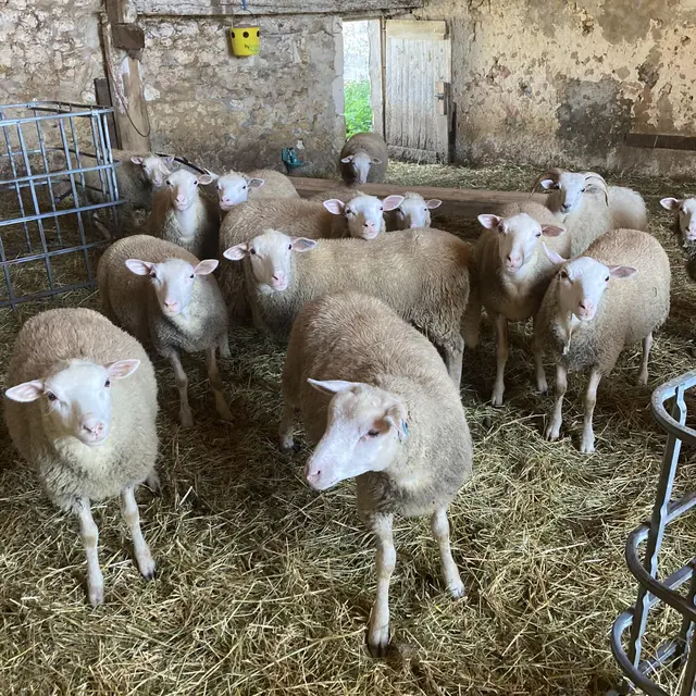 La Ferme du bon sens 1