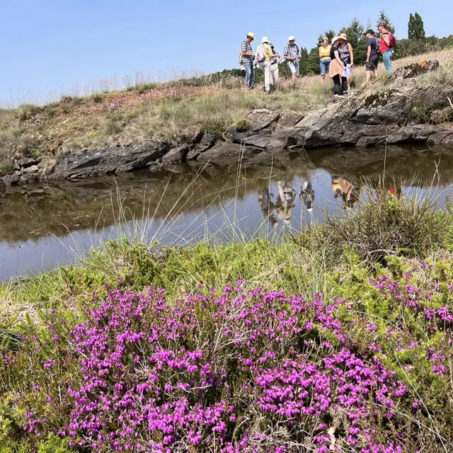 Lande St Laurent La Roche L'Abeille
