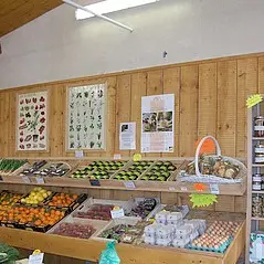 Le jardin de Romas