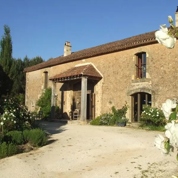 Leone-Haute-1